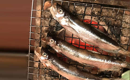 焼き魚イメージ